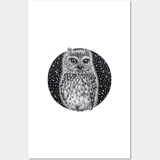 owl with starry night Posters and Art